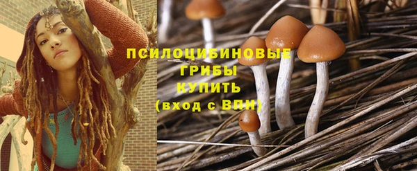 а пвп мука Алзамай