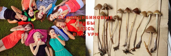 а пвп мука Алзамай