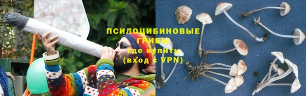 трава Алексин