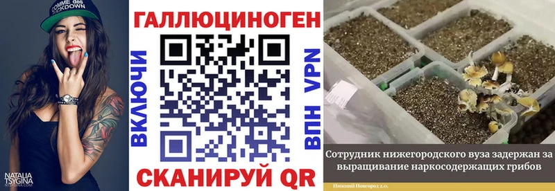 Галлюциногенные грибы прущие грибы Качканар