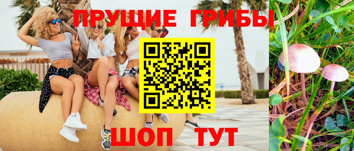 Галлюциногенные грибы мицелий Качканар
